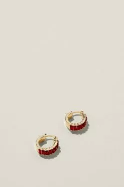 Rubi Small Hoop Earring