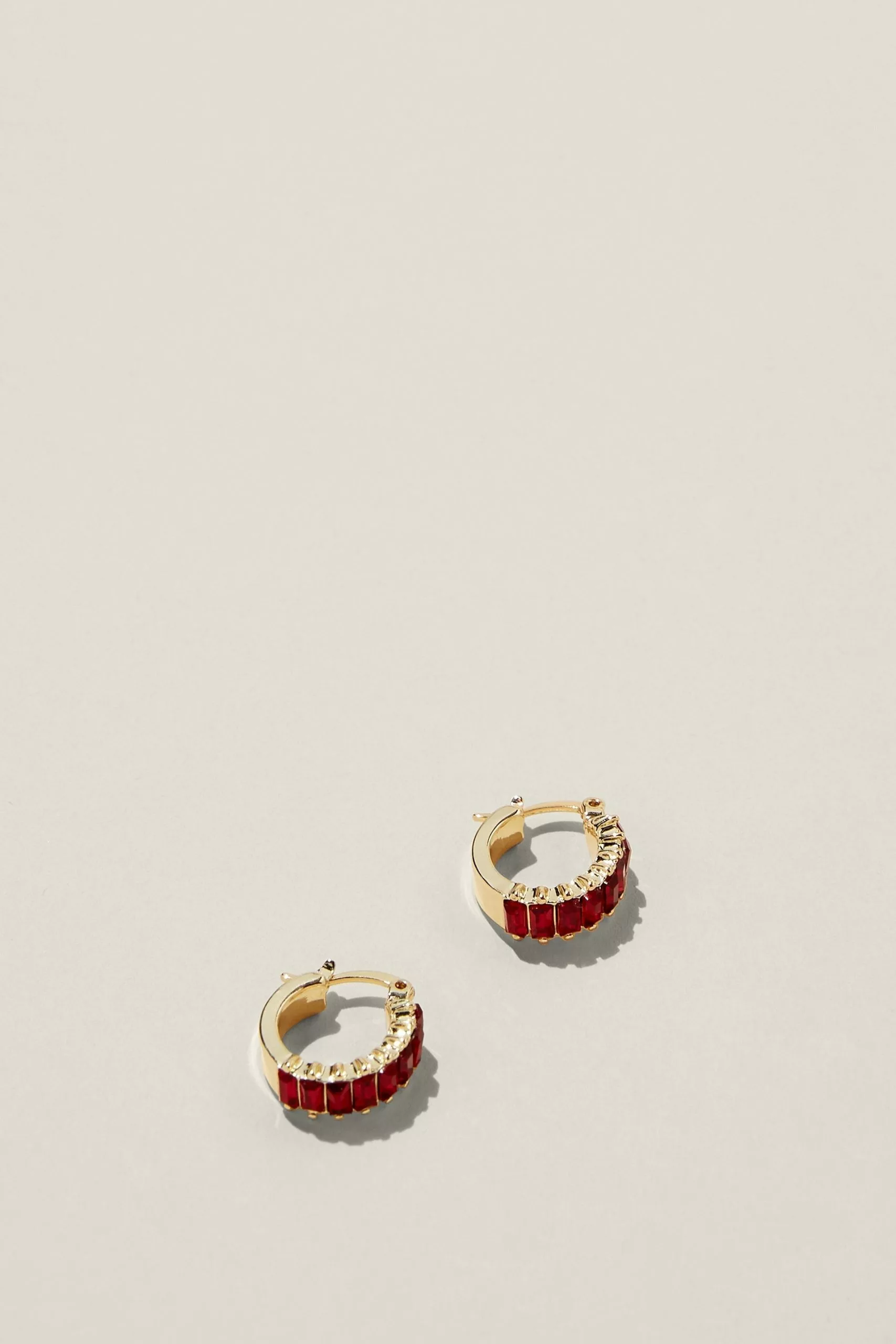 Rubi Small Hoop Earring
